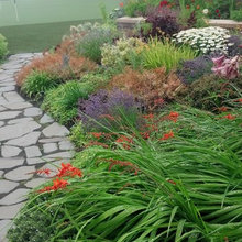 Landscape Ideas