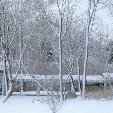 Winter Landscapes