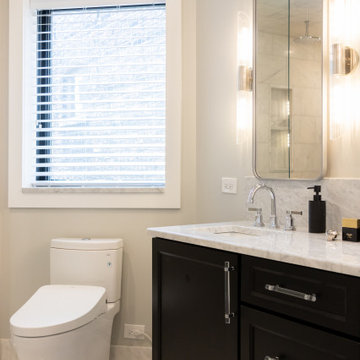 Andersonville Full Home Renovation