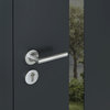 Exterior Entry Steel Double Doors /Cynex 6777 Black /72+16x80 Left Inswing