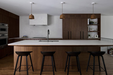 Example of a danish kitchen design in Chicago