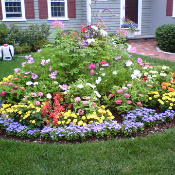 Annual Plantings