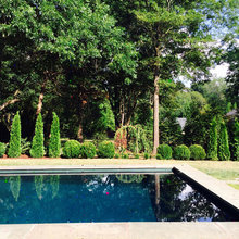 LBD Pool