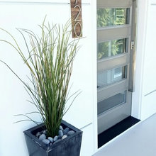 Plants