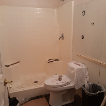 Custom Bathroom Remodel