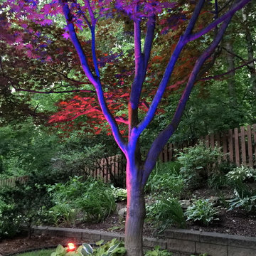 Colored LED lighting