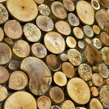 Wood slice art
