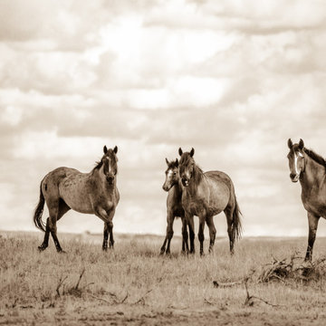On the Range
