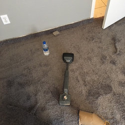 New Carpet Condo Make Ready - Carpet Tiles