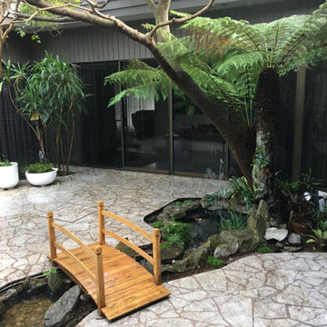 Courtyard garden renovation - Vaucluse