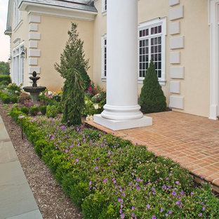 Dwarf Alberta Spruce Landscaping Ideas | Houzz