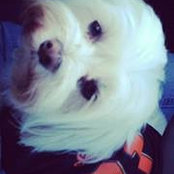 Serena Navarro's photo