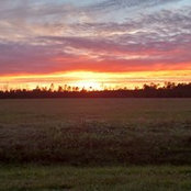 Jonie Raulerson's photo