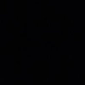 Arielle Mells's photo