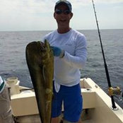 David Reynosa's photo