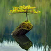 Thomas Williams's photo