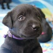 Jon Hanks's photo