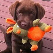 Doris Gray-Kroeker's photo