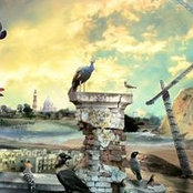 Sanjul Aggarwal's photo