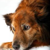 Kellie McCann's photo