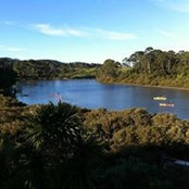 Tua Atkinson's photo