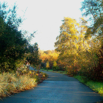 Entry drive meander with native plantings creates a sense of discovery