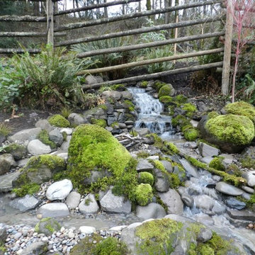 Water Features