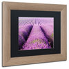 Michael Blanchette Photography 'Purple Hills' Matted Framed Art