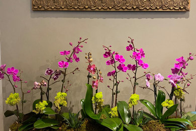 Dining room - contemporary dining room idea