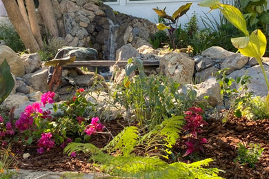 Encino Pond, Pondless Waterfall & Landscape Project