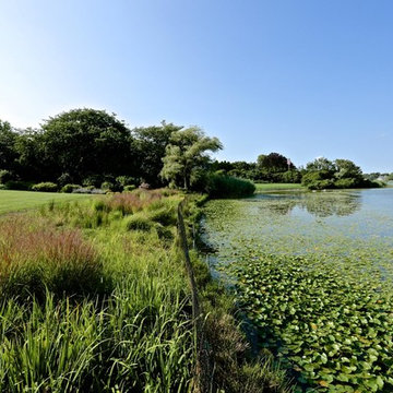 Agawam Lake Residence - Wetland Buffer Planting