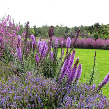 Yorkshire Countryside Family Garden