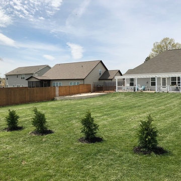 Small Tree Install & Lawn Care
