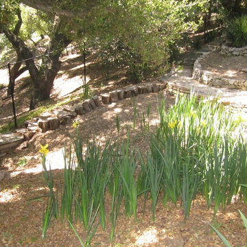 Topanga Canyon