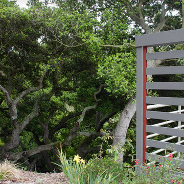 Garden for a modern house
