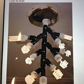 Judy Kirk Borrelli's photo