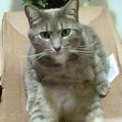 Nancy Vanbever's photo