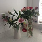 Ruth Cross's photo