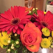 Jean Ann Morris's photo