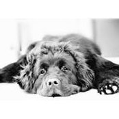 Cyndy Miller's photo
