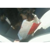 Jonathan Ritchley's photo