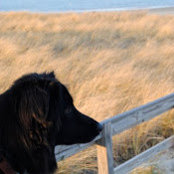 Paul Harris's photo