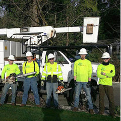Avid Tree Care