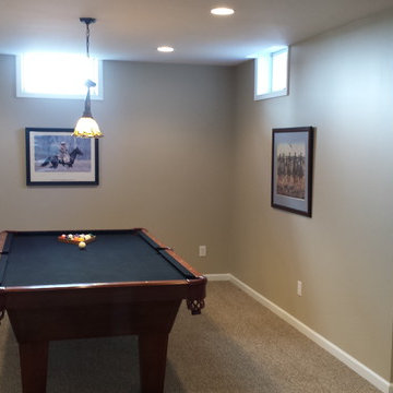 Saline Basement