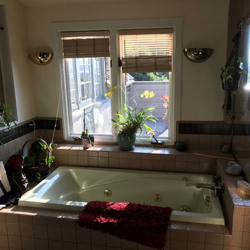 Piedmont Bathroom Universal Design Makeover