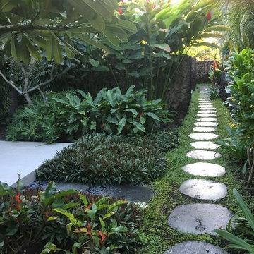 Modern Tropical