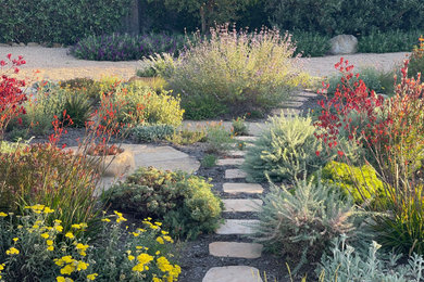 This is an example of a landscaping in Santa Barbara.