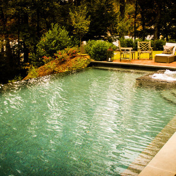 Habersham Pools Atlanta