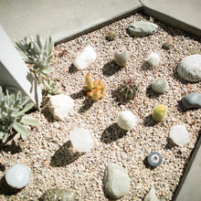 LANDSCAPE IDEAS