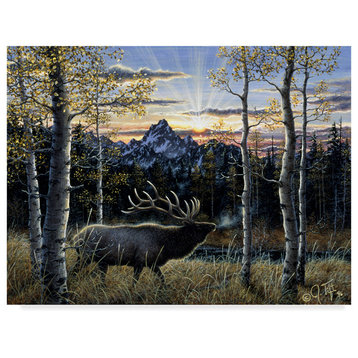 Jeff Tift 'Dawn Of Light' Canvas Art, 24"x18"